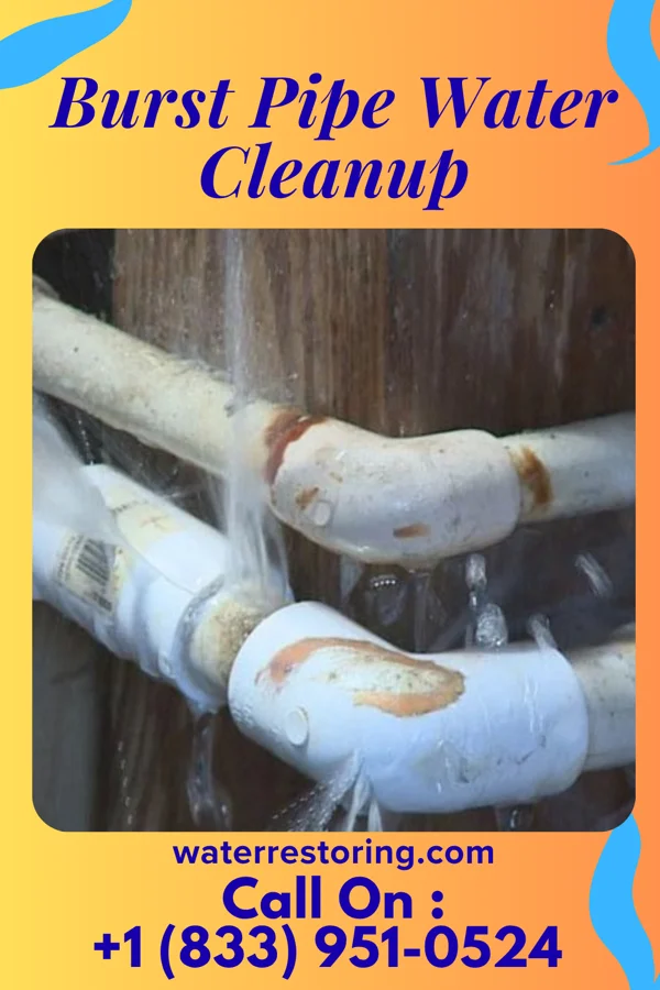 Burst Pipe Water Cleanup in Cruzville, NM