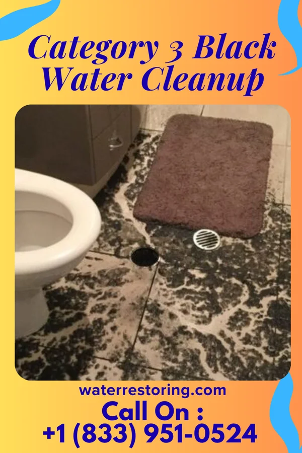 Category 3 Black Water Cleanup in Cruzville, NM