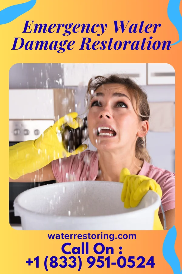 Emergency Water Damage Restoration in Cruzville, NM