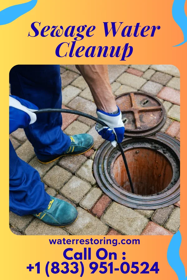 Sewage Water Cleanup in Cruzville, NM