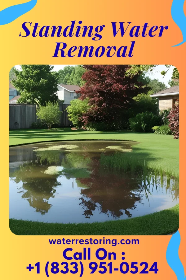 Standing Water Removal in Cruzville, NM